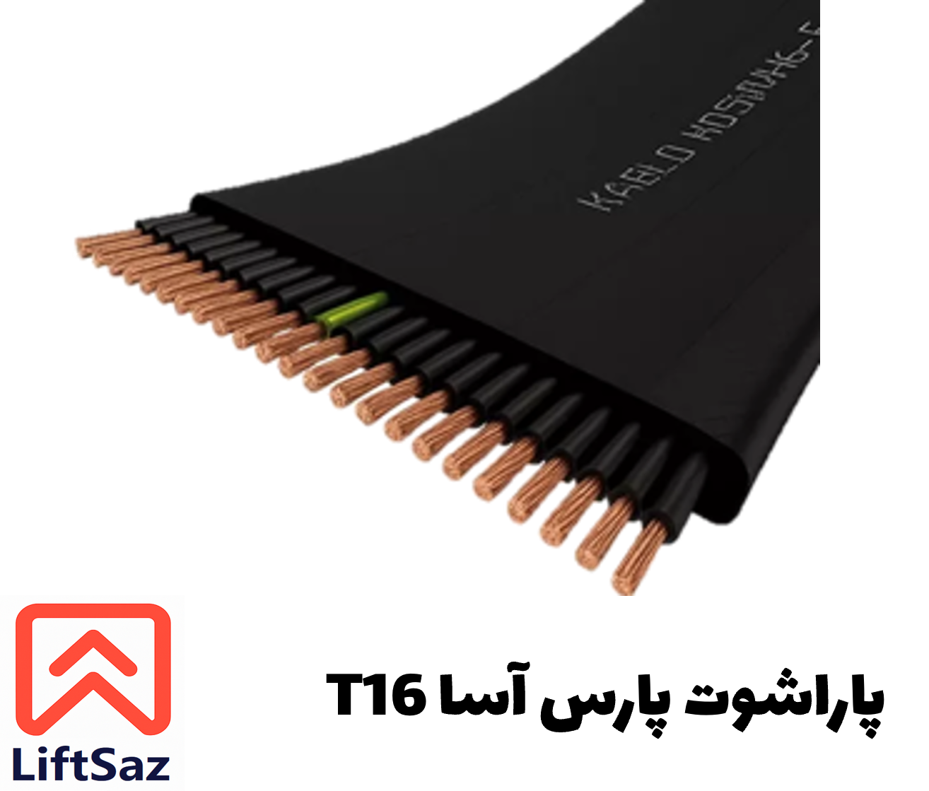 تراول کابل آسیا 24 رشته